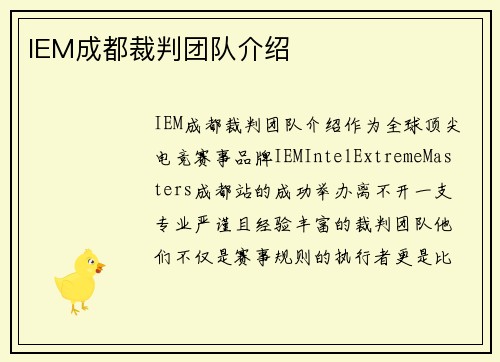 IEM成都裁判团队介绍