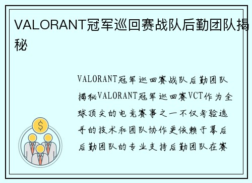 VALORANT冠军巡回赛战队后勤团队揭秘