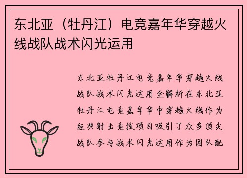 东北亚（牡丹江）电竞嘉年华穿越火线战队战术闪光运用