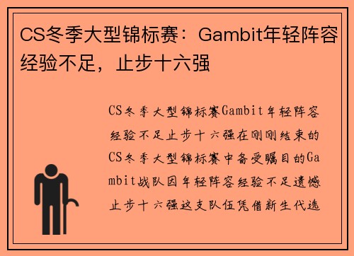 CS冬季大型锦标赛：Gambit年轻阵容经验不足，止步十六强