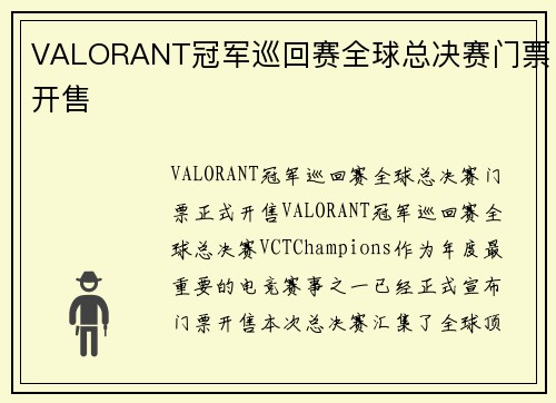 VALORANT冠军巡回赛全球总决赛门票开售
